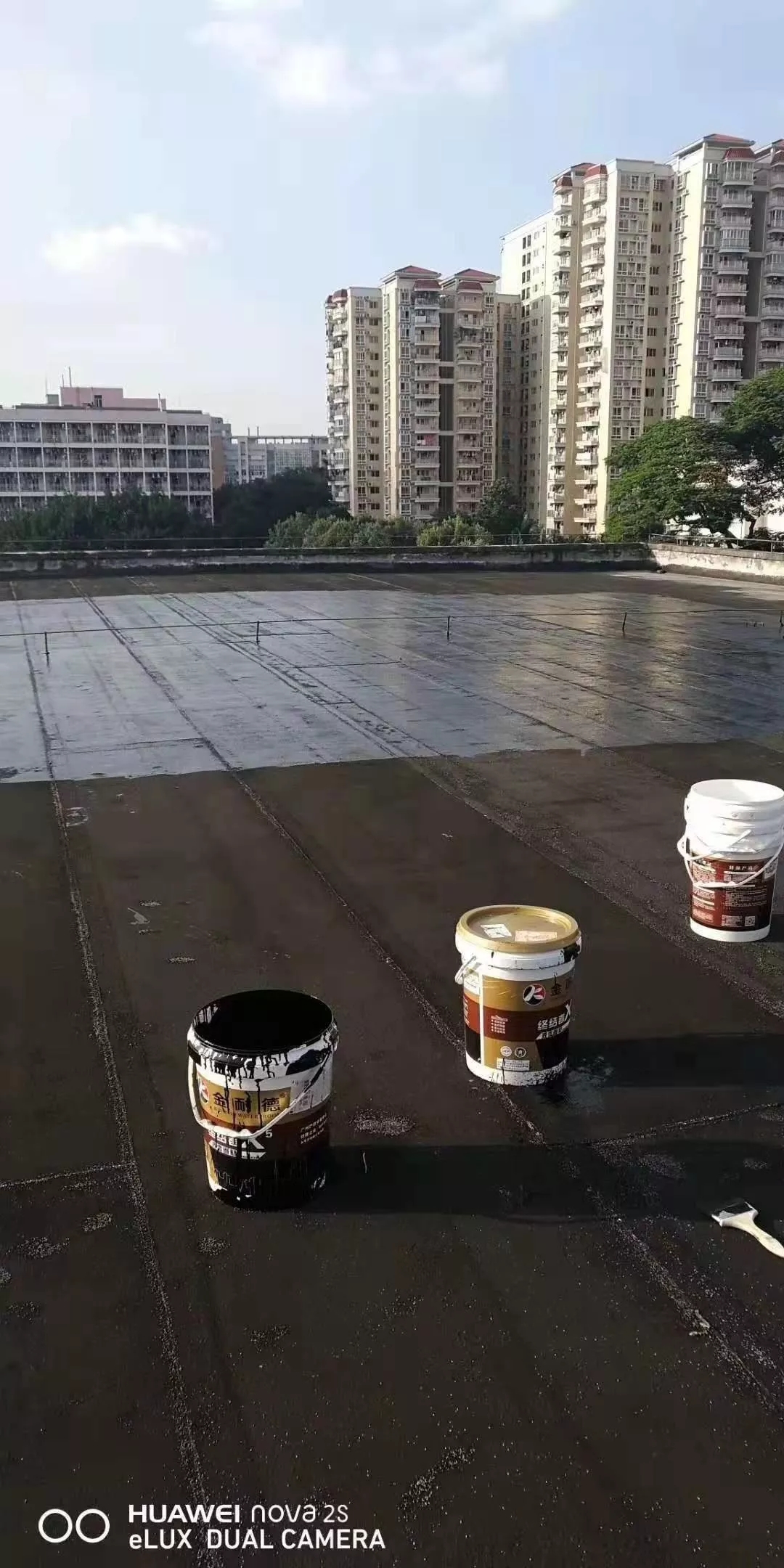 香港宝宝典资料大全