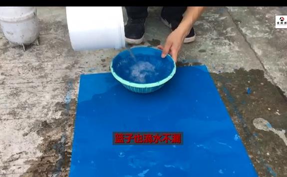 香港宝宝典资料大全