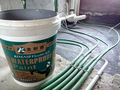 香港宝宝典资料大全